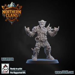 2x Warriors Nordique - Northern Clans