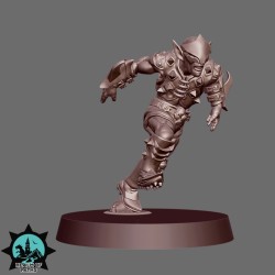 Dark Elf Team - The Blood Moon