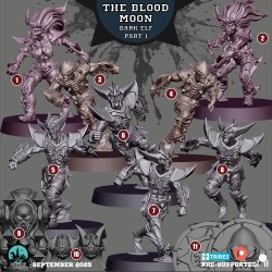 Dark Elf Team - The Blood Moon