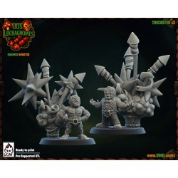 Tricksters - Lucha Gnomes