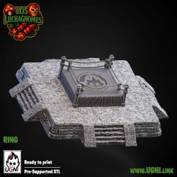 Ring and a Starplayer - Lucha Gnomes