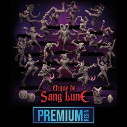 Equipe Premium d'Elfes Noirs - Cirque de Sang Lune