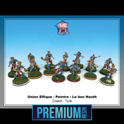 Equipe Premium d'elfe professionel -  Professional Elves