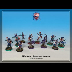 Equipe Complete d'Elfes Noirs - Cirque de Sang Lune