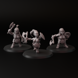 Pack de 3 Dwarf Girl