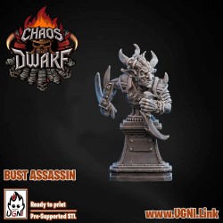 Buste de Chaos Dwarf Assassin