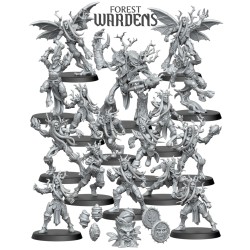 Équipe d'Elfe Sylvain - Forest Wardens