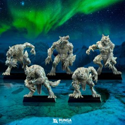Ashborn Werewolves - Warriors of the North